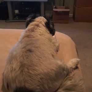 Meet your Posher, Marjorie